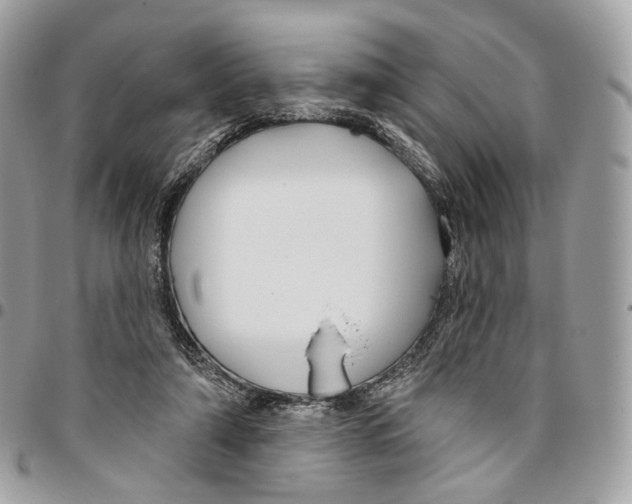 X0000095900306200802081146