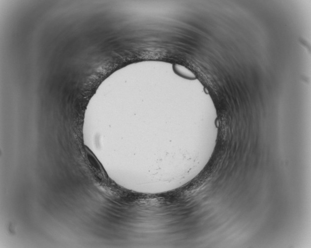 X0000095900307200802081146