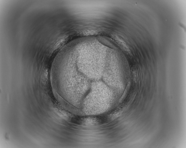 X0000095900308200802081146