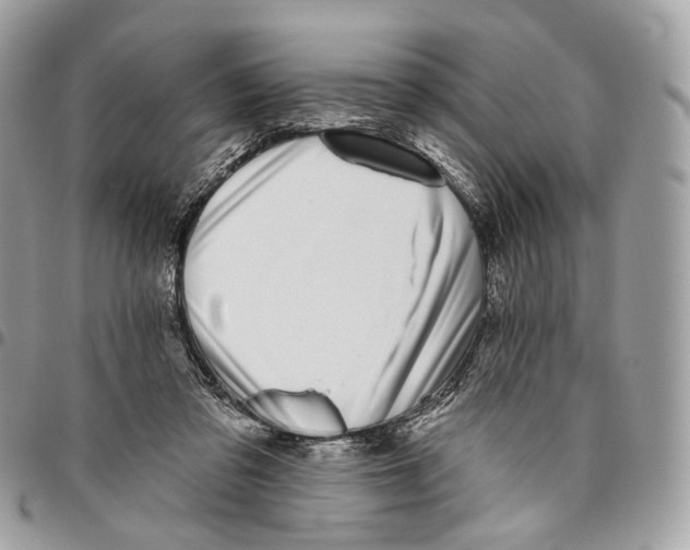 X0000095900309200802081146