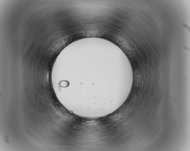 X0000095900310200802081146