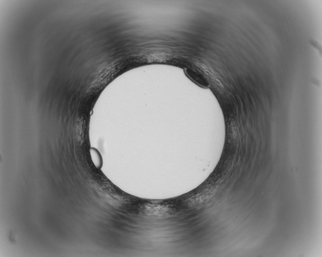 X0000095900311200802081146