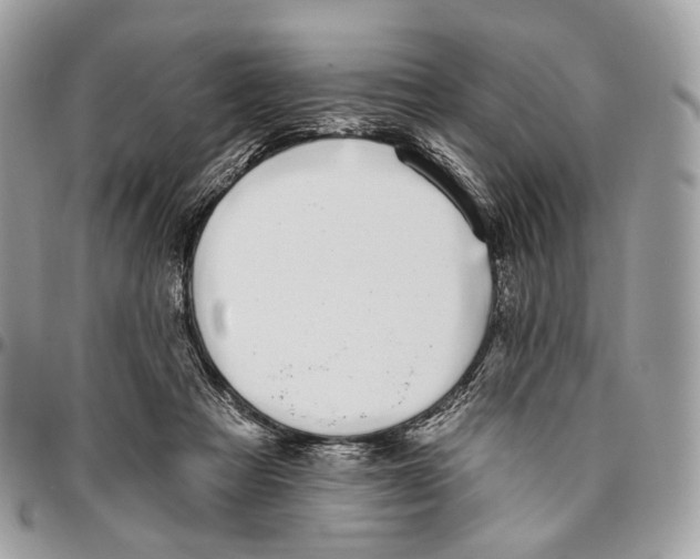 X0000095900313200802081146