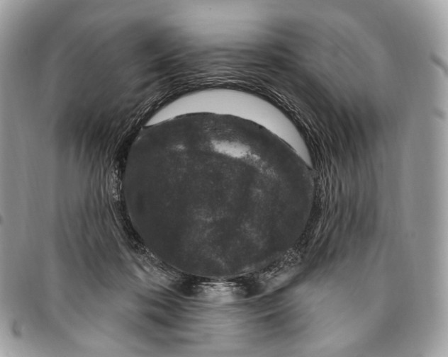 X0000095900316200802081146