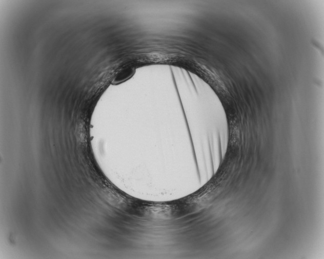 X0000095900317200802081146