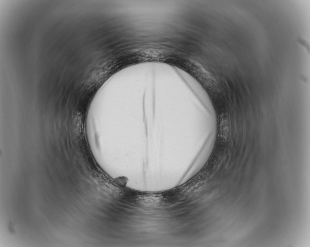 X0000095900318200802081146