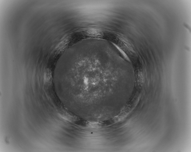 X0000095900320200802081146