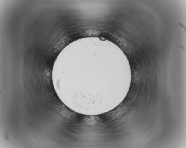 X0000095900321200802081146