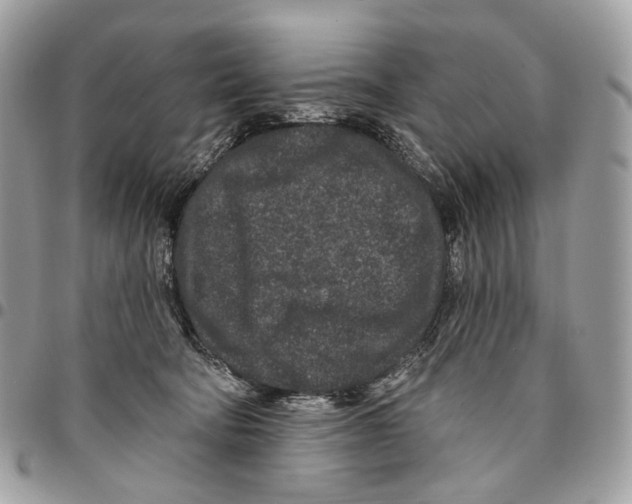 X0000095900322200802081146