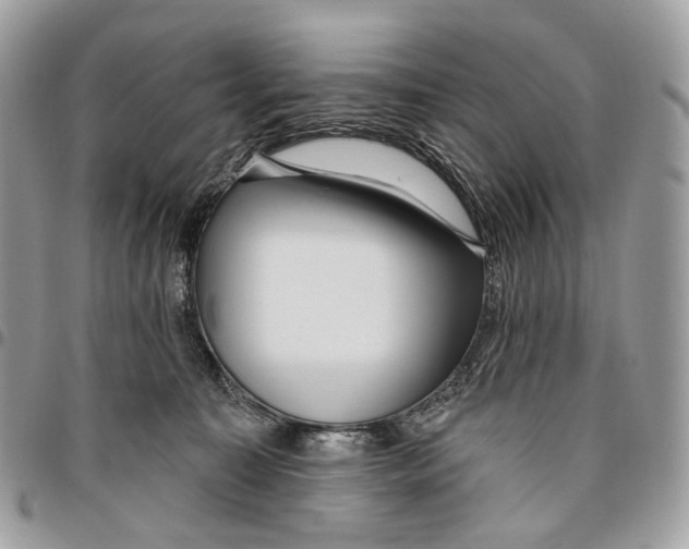 X0000095900323200802081146