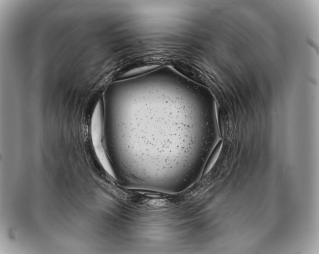 X0000095900324200802081146