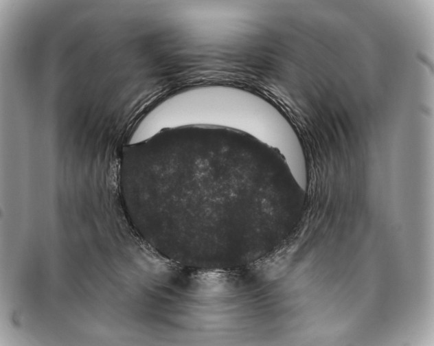 X0000095900325200802081146