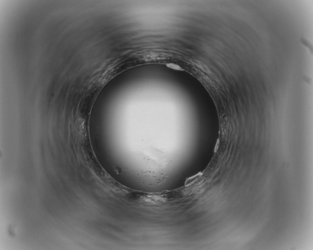 X0000095900327200802081146