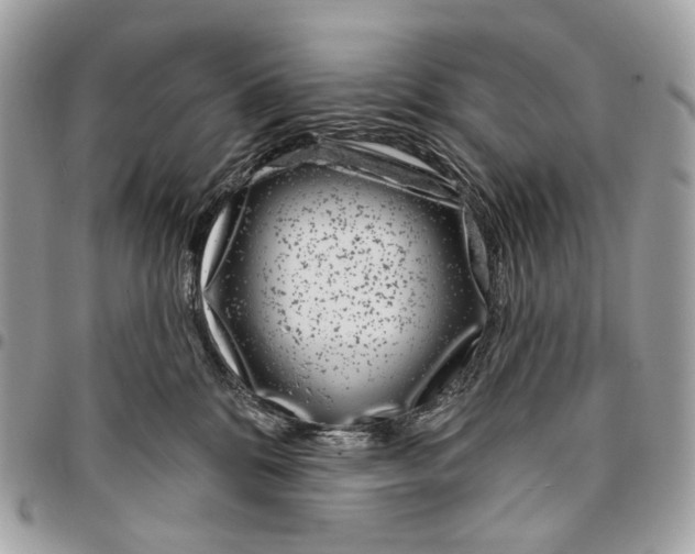 X0000095900328200802081146