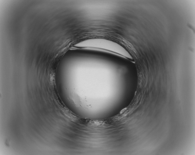 X0000095900329200802081146