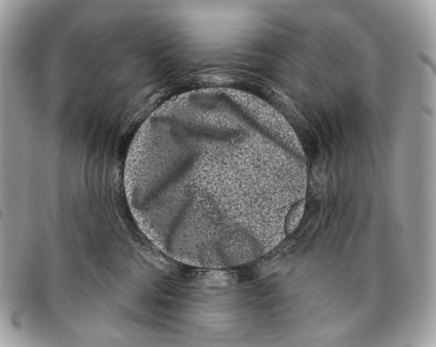 X0000095900330200802081146