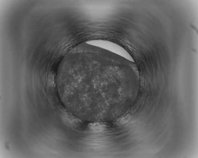 X0000095900331200802081146