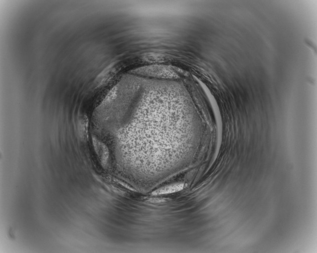 X0000095900332200802081146