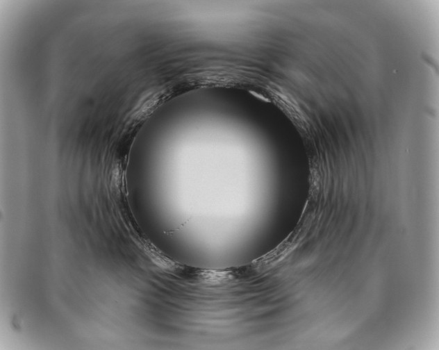 X0000095900333200802081146