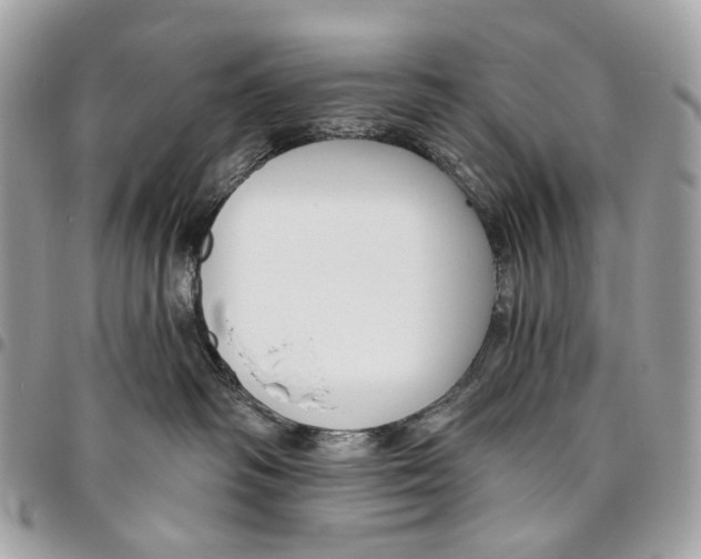 X0000095900334200802081146