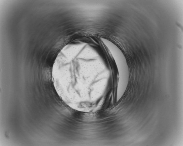 X0000095900335200802081146