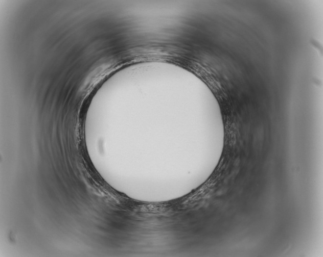 X0000095900338200802081145