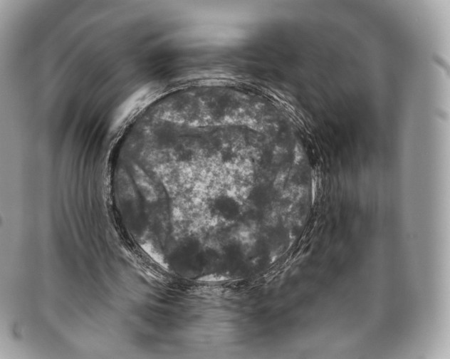 X0000095900339200802081145