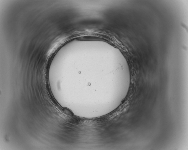 X0000095900341200802081145