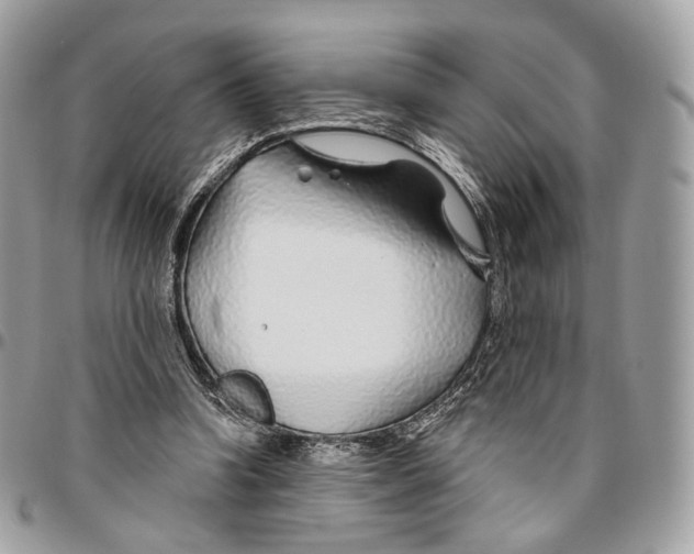 X0000095900346200802081145