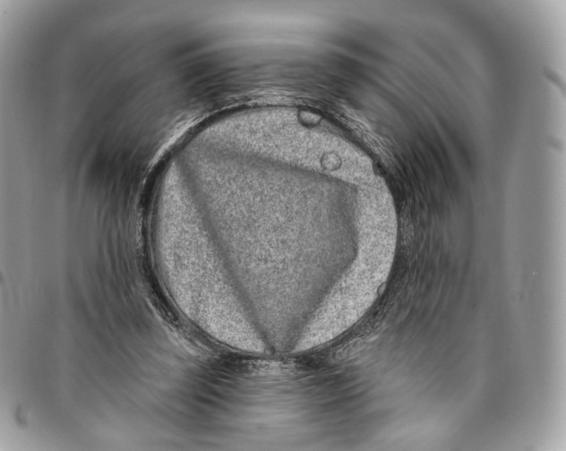 X0000095900347200802081145