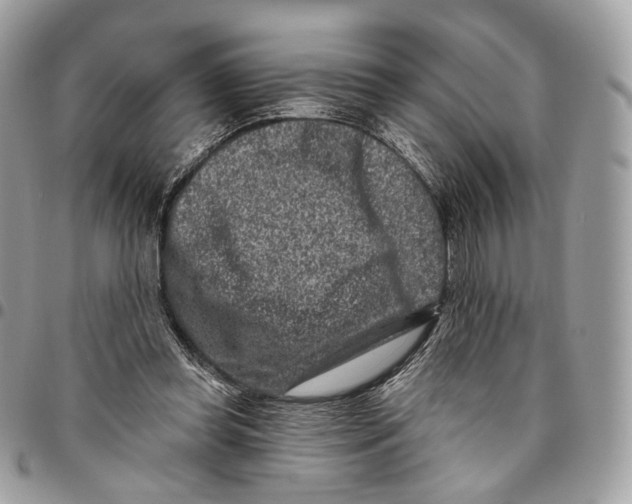 X0000095900349200802081145