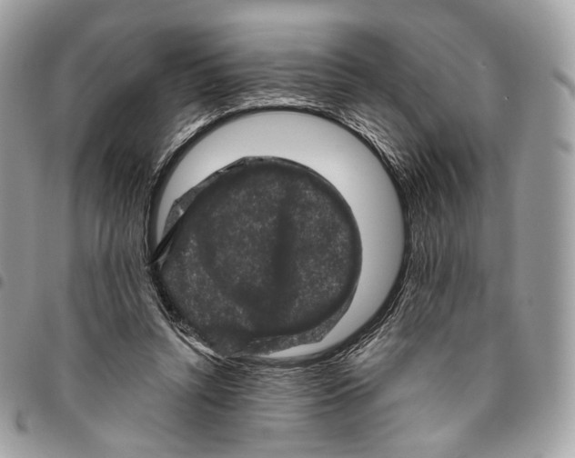 X0000095900352200802081145