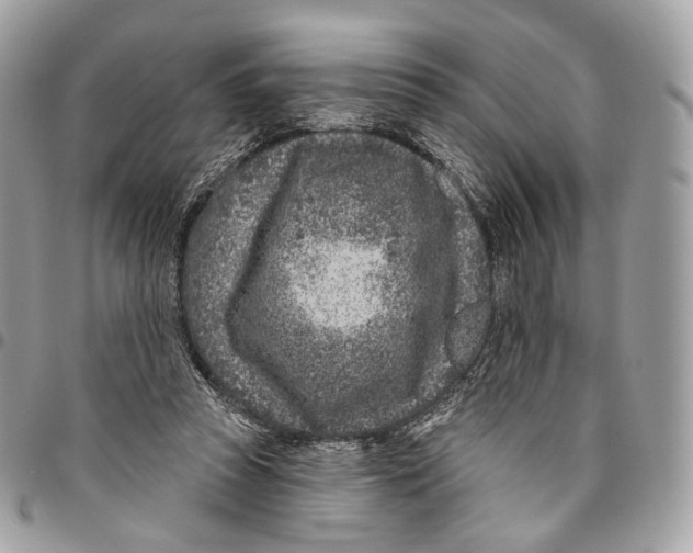 X0000095900353200802081145