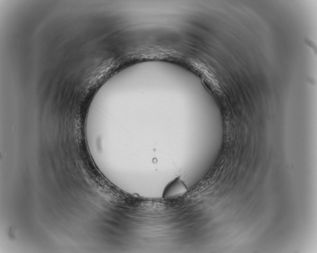 X0000095900354200802081145