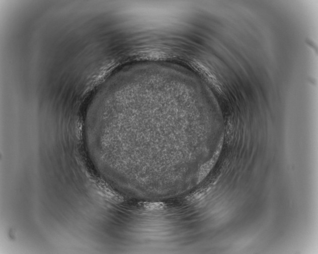 X0000095900355200802081145