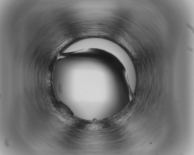 X0000095900356200802081145