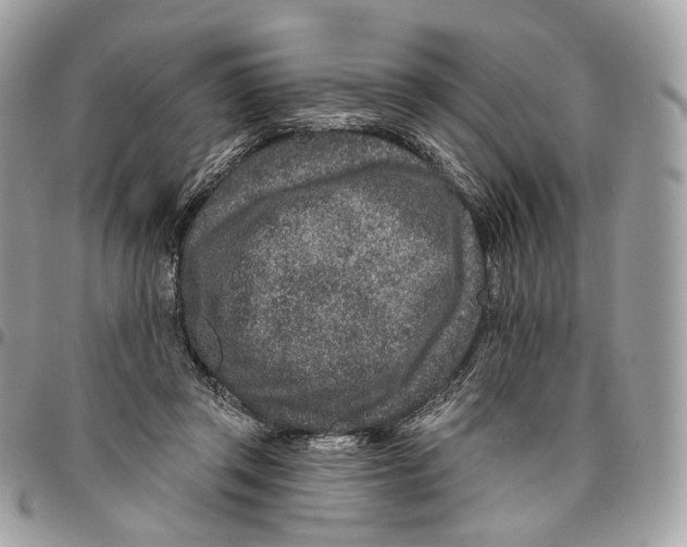 X0000095900357200802081145