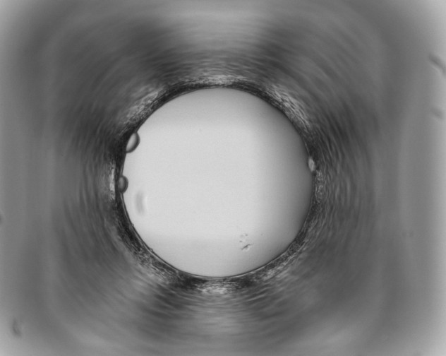 X0000095900358200802081146