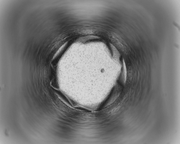 X0000095900359200802081146