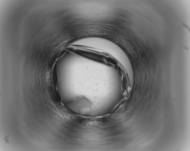 X0000095900360200802081146