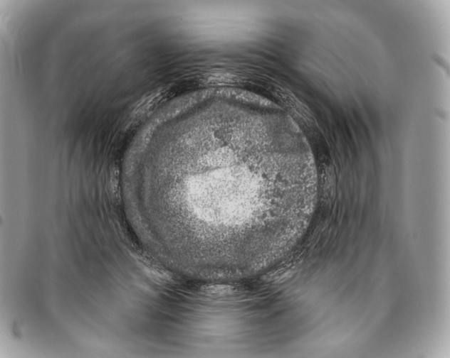 X0000095900361200802081146