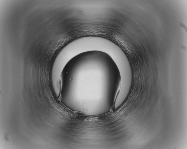 X0000095900362200802081146