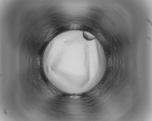 X0000095900363200802081146