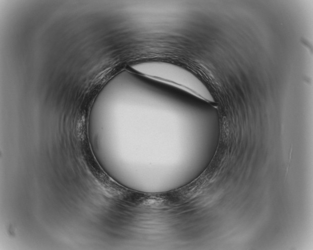 X0000095900364200802081146