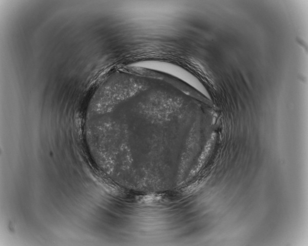 X0000095900366200802081146