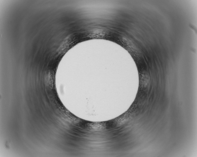 X0000095900370200802081146