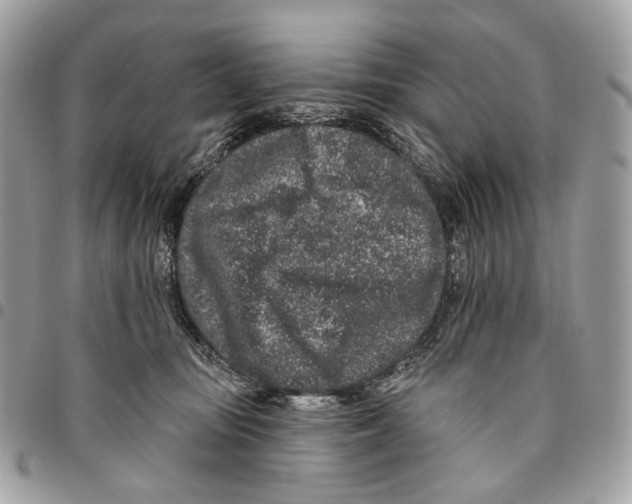 X0000095900371200802081146