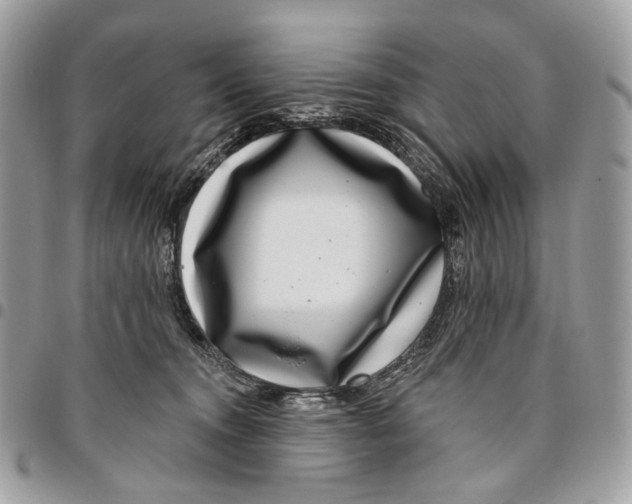 X0000095900372200802081146