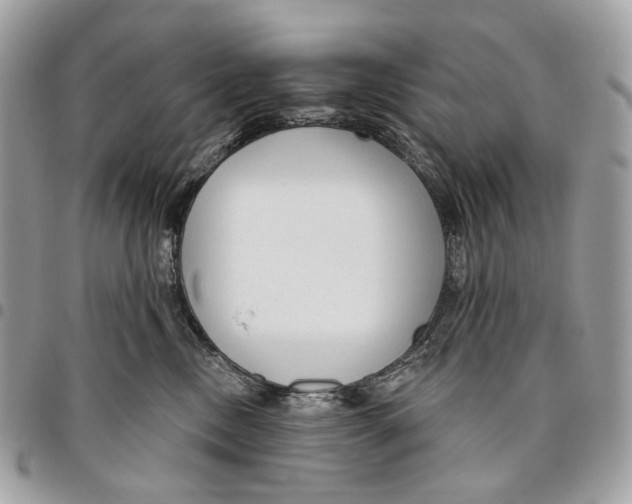 X0000095900378200802081146