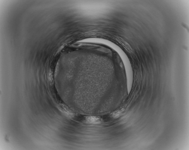 X0000095900380200802081146